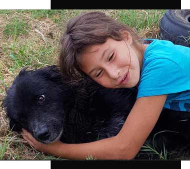 Tierschutz Rumänien, Tier und Kinderschutzhof